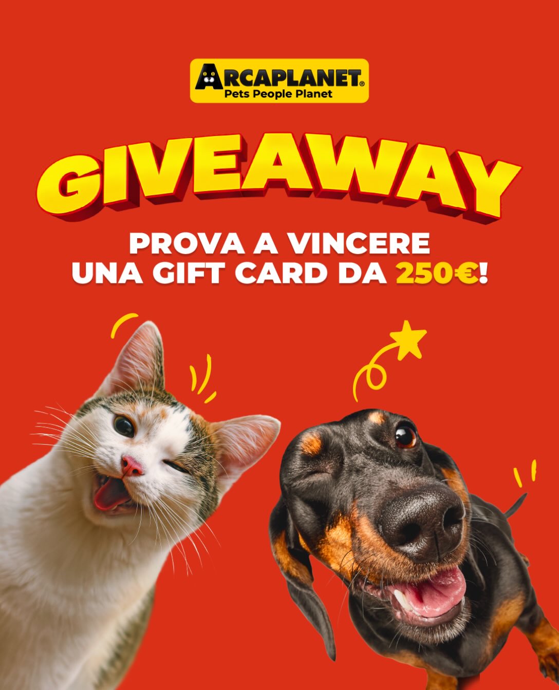 Concorso